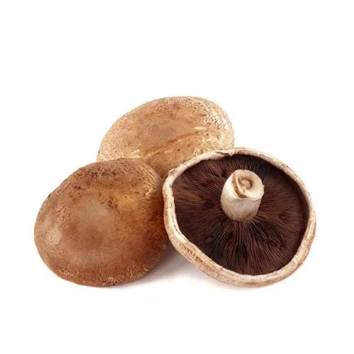 MUSHROOM PORTOBELLO - OMAN ( KG )