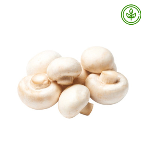  Organic  Mushroom Button 
