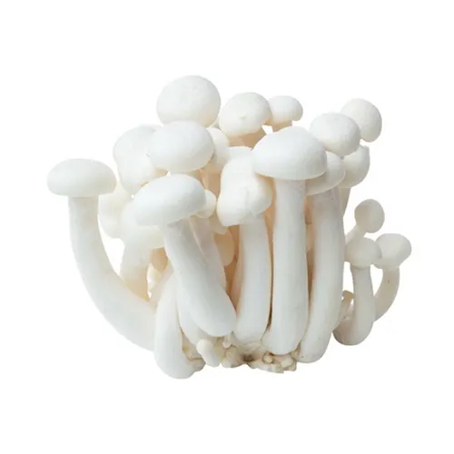 MUSHROOM SHIMJI WHITE-CHINA (150 GM)