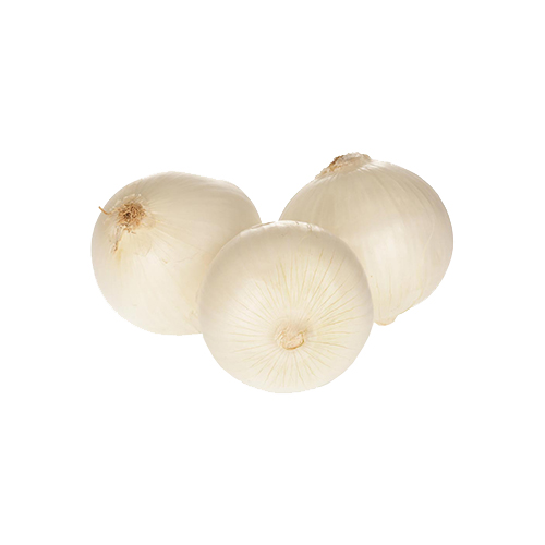  Fit Fresh Onion White  - Spain 