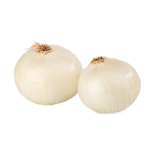  Fit Fresh Onion White  - ME