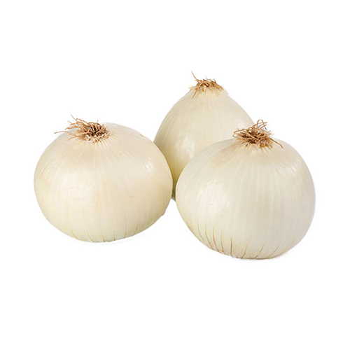  Fit Fresh Onion White  - ME