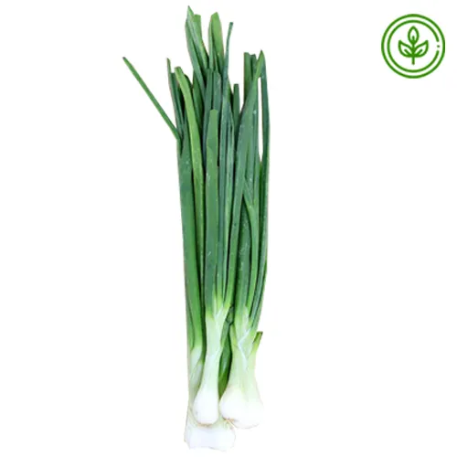 SPRING ONION - ORGANIC 