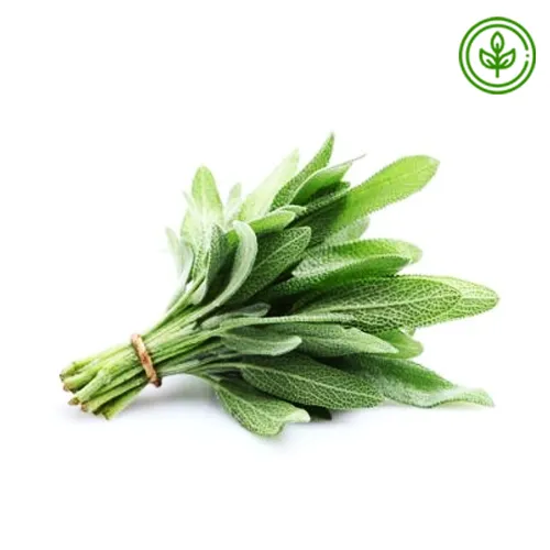 SAGE - ORGANIC