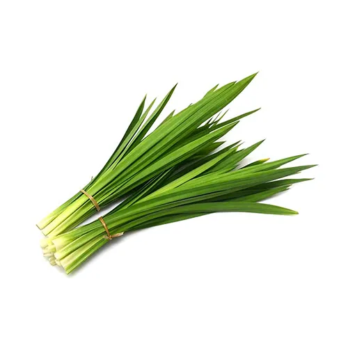  Fit Fresh Pandan Leaves  Bunch 100 g - Thailand