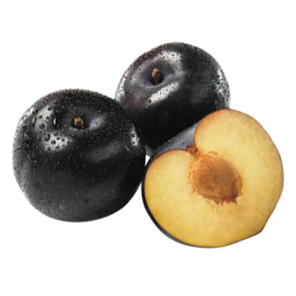 PLUM BLACK - SPAIN ( KG )