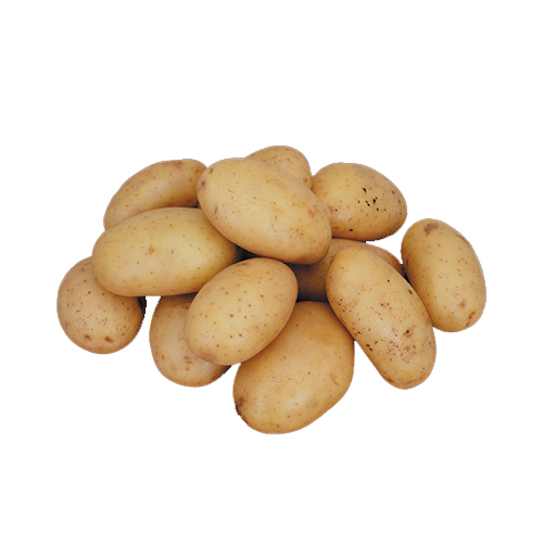  Fit Fresh Potato Agria 500 g - Holland