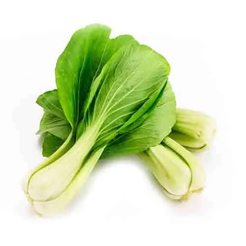PAK CHOI - OMAN - PKT ( 500 GM )