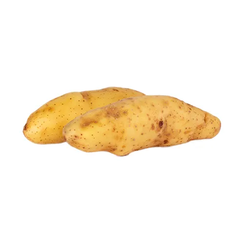 POTATO FINGERLI-RATTE - FRANCE ( KG )