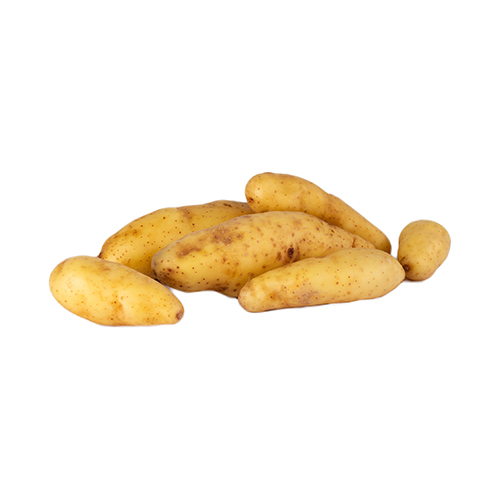  Fit Fresh Potato Fingerling / Ratte  - France 