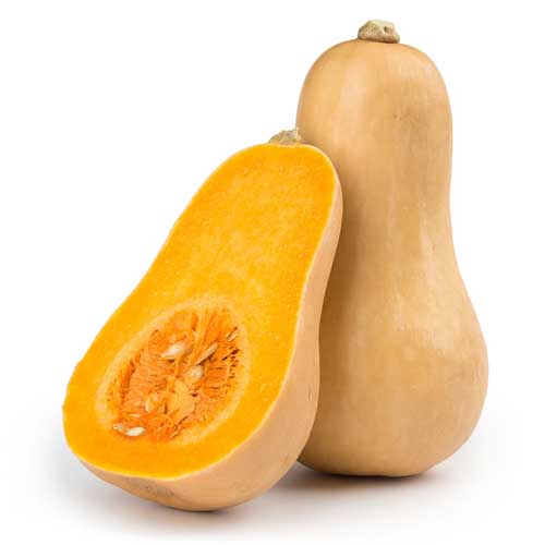 PUMPKIN BUTTERNUT - OMAN - PC - ( 1 - 1.2 KG )