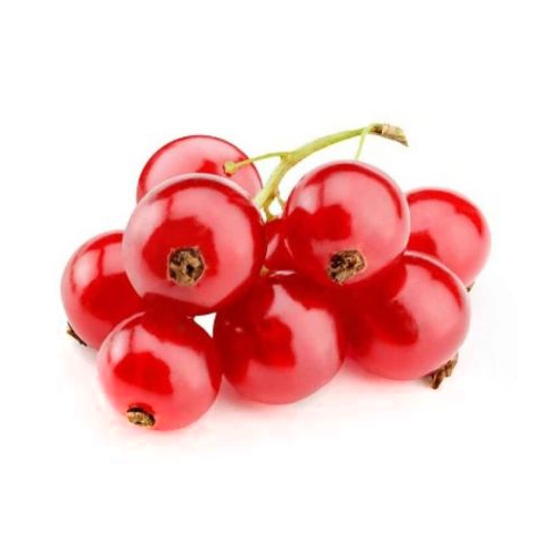  Red Currant 125 g Pkt - Holland