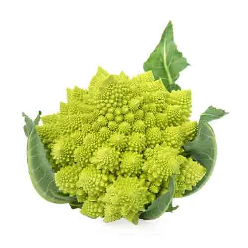 ROMANESCO - HOLLAND - PC ( 800 GM - 1.1 KG )