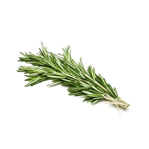 ROSEMARY - KENYA - BUNCH (100 gm )