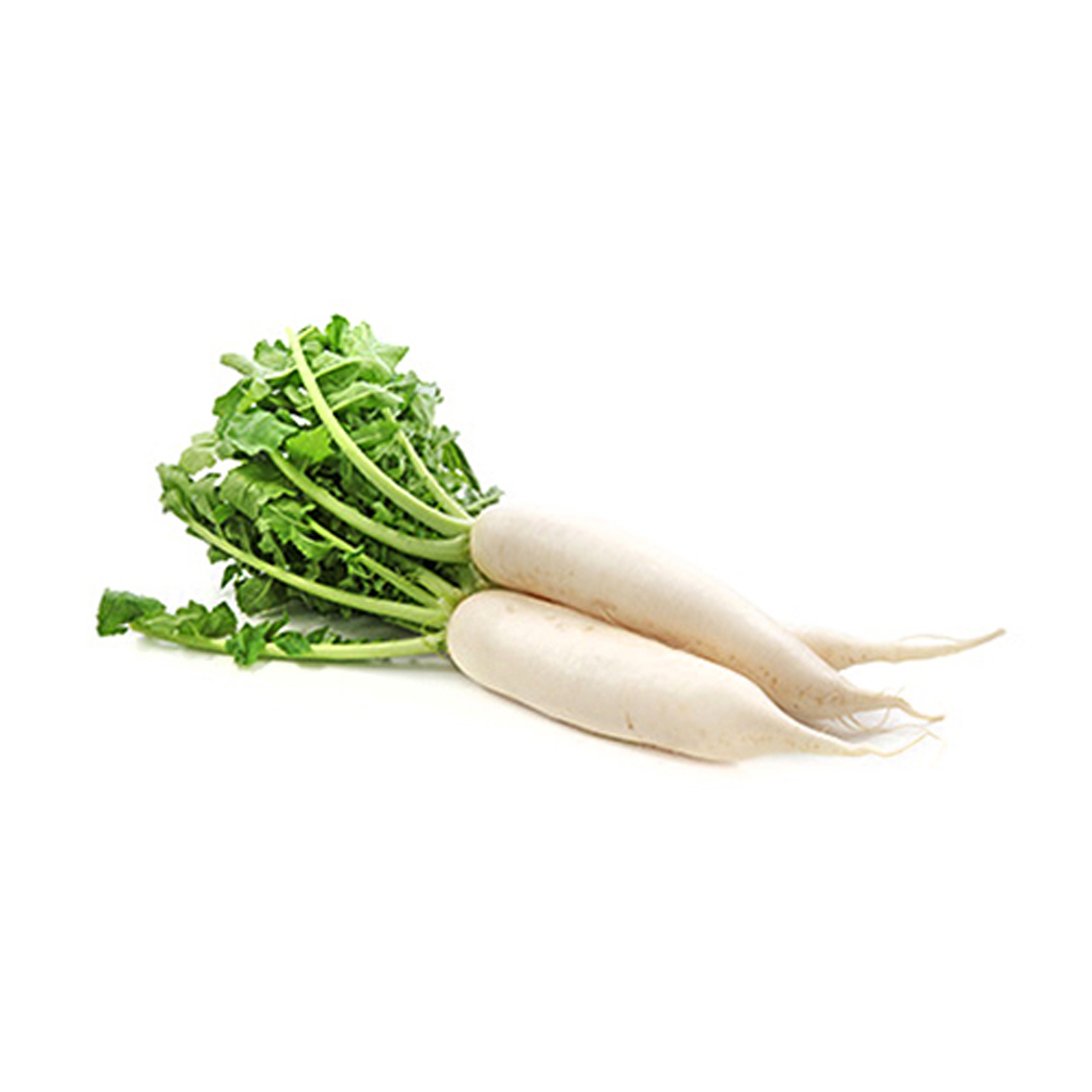 RADISH WHITE - UAE ( KG )