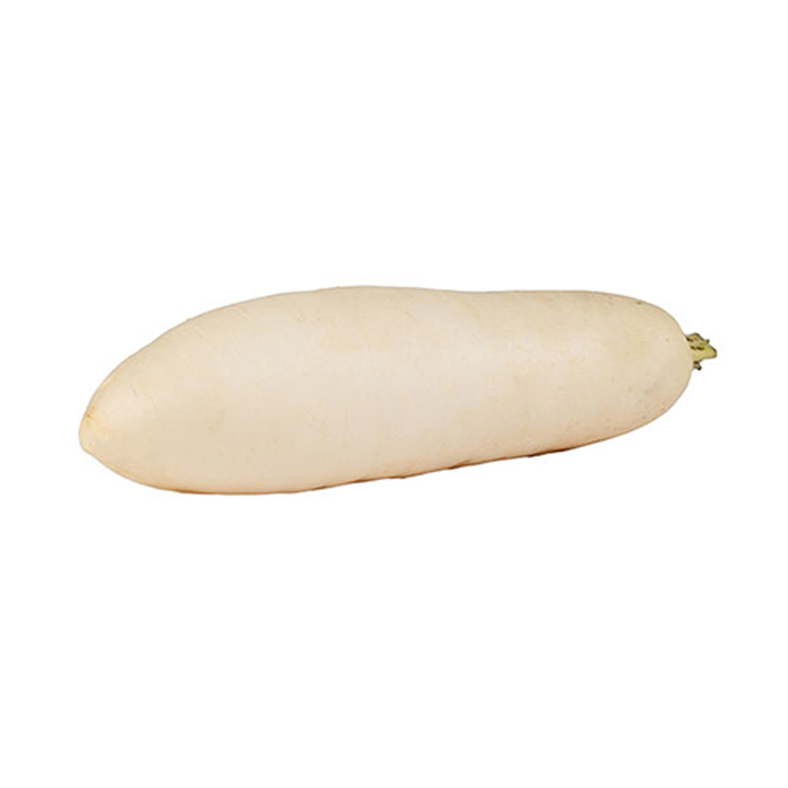  Fit Fresh White Radish - China