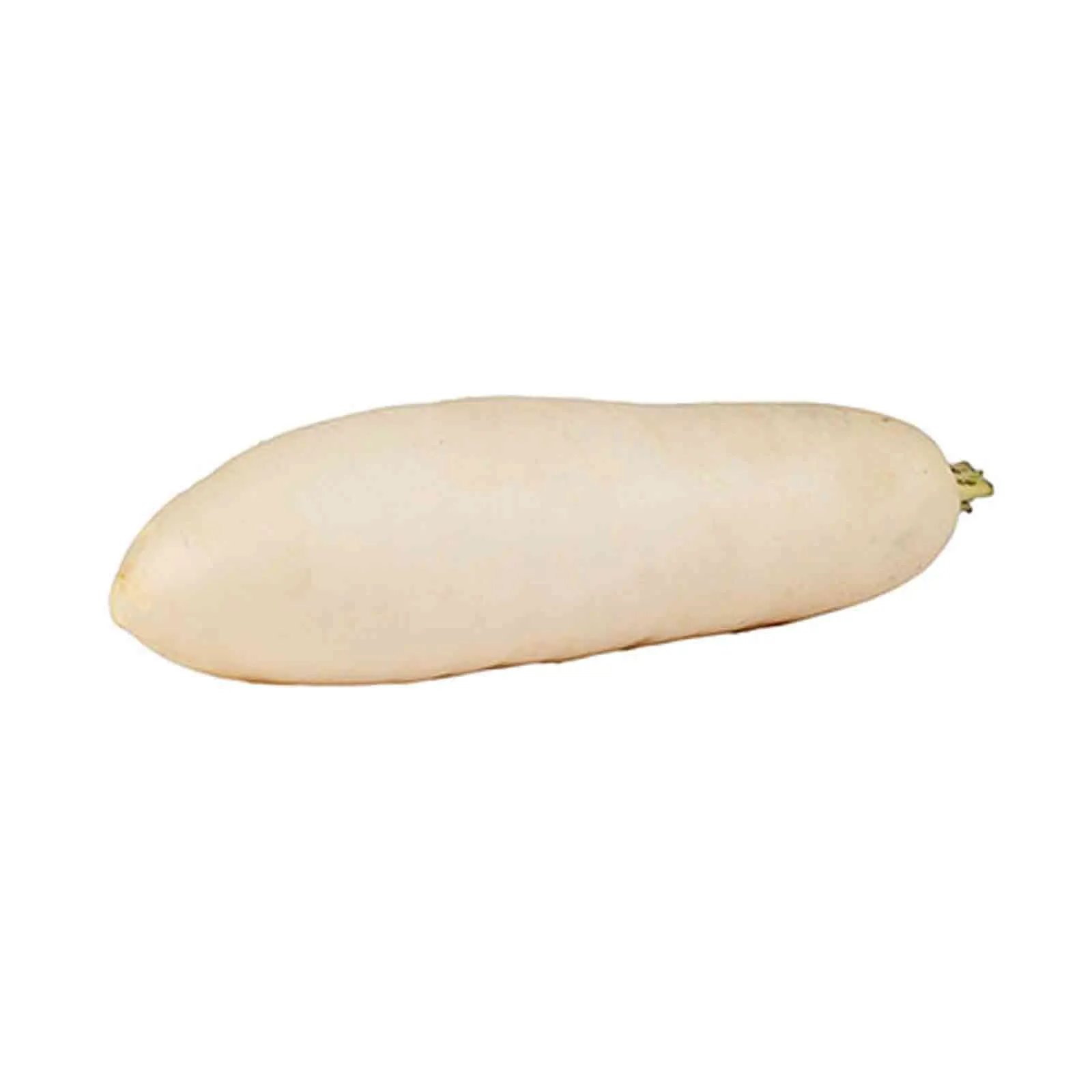 RADISH WHITE - CHINA ( KG )