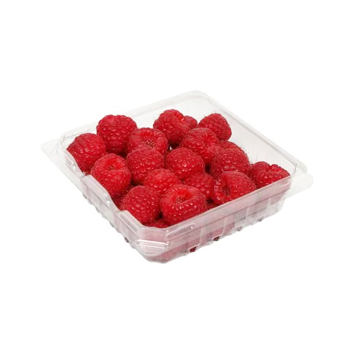  Fit Fresh Raspberry 125 g Pkt - Morc