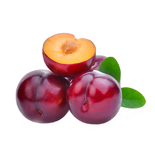  Fit Fresh Red Plum 500 g Pkt - Spain