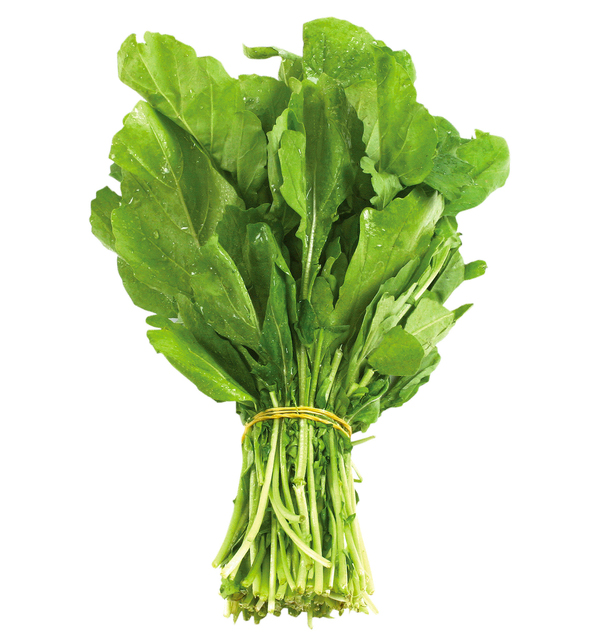  Fit Fresh Rocca Leaves 100 g Bunch - ME