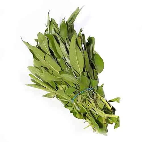 SAGE LEAVES - KENYA ( kg )
