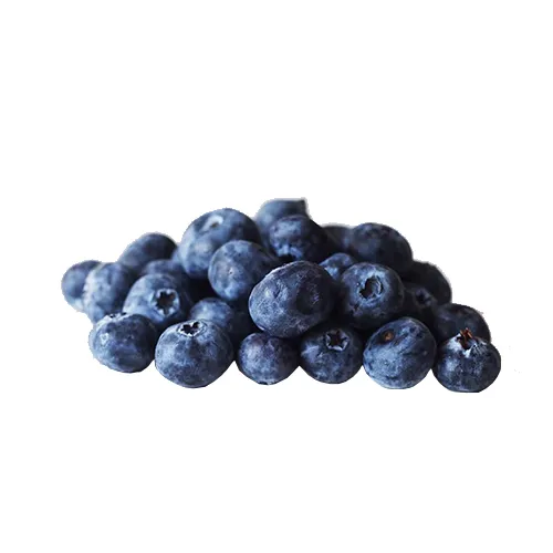 BLUEBERRY SANITIZED ( 250 gm )