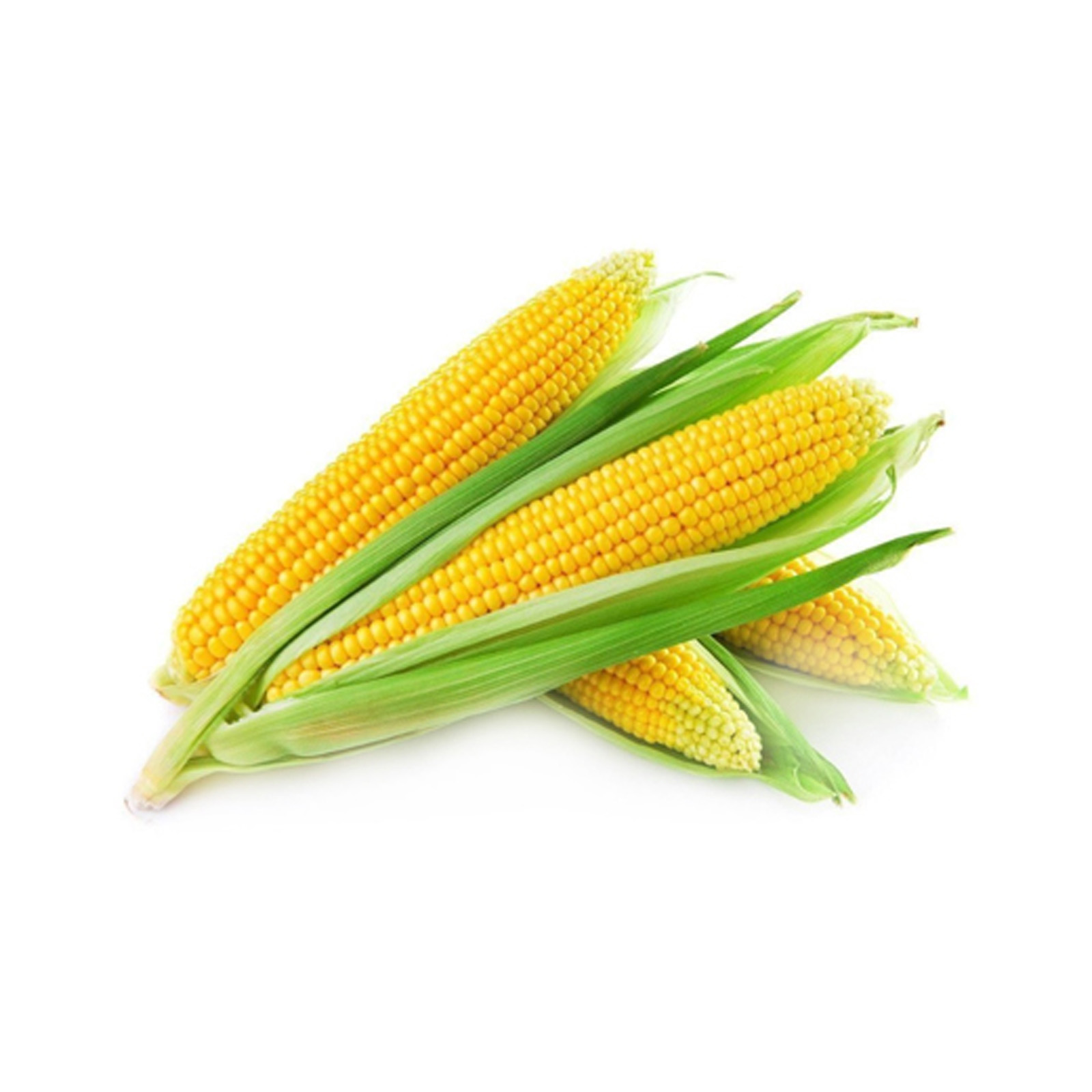 SWEET CORN - ME ( KG )