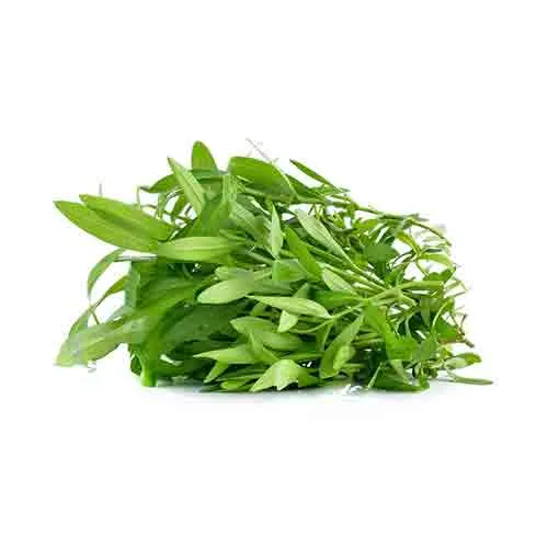 TARRAGON - KENYA - BUNCH - (100 gm )