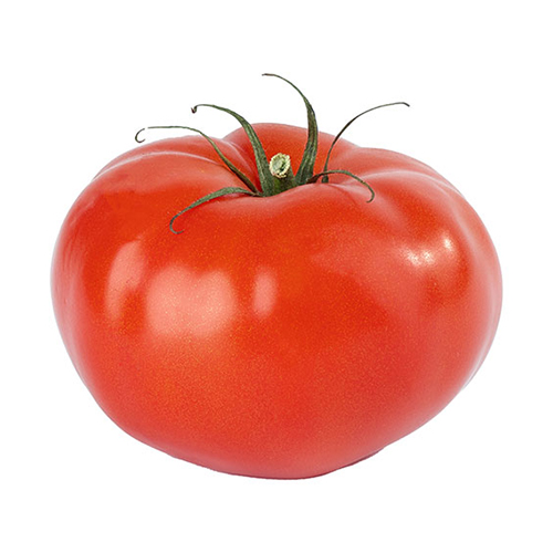 TOMATO BEEF - HOLLAND ( KG )
