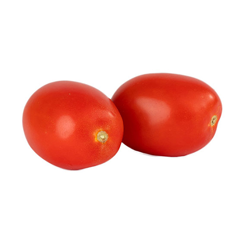 TOMATO PLUM/ROMA - HOLL ( KG )