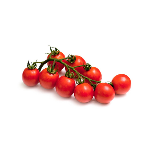  Fit Fresh Tomato Cherry On Vine - Holland 