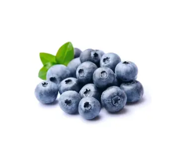 BLUEBERRY - RSA ( 500 GM PKT )