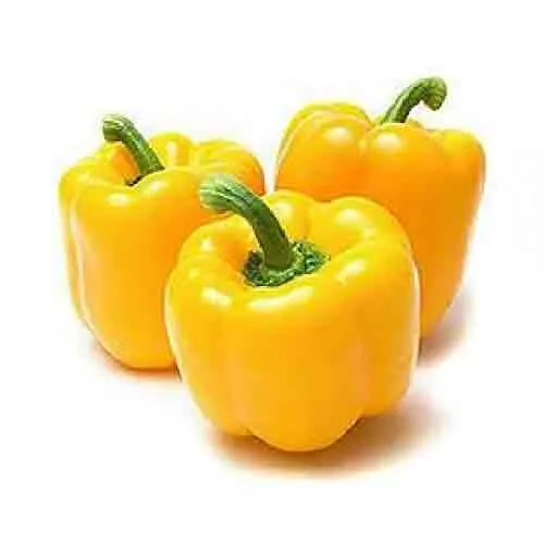 YELLOW CAPSICUM SANITIZED ( KG )