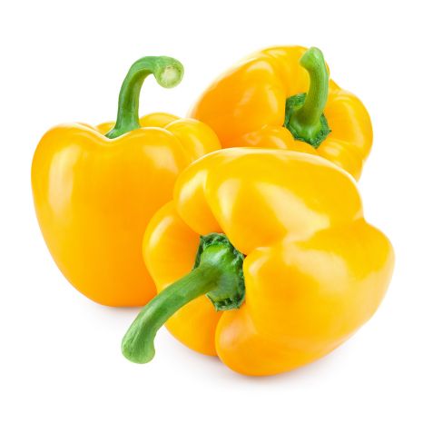 XXXCAPSICUM YELLOW - ME ( KG )