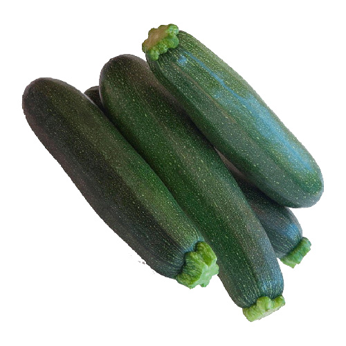  Fit Fresh Sanitized Zucchini Green  Kg