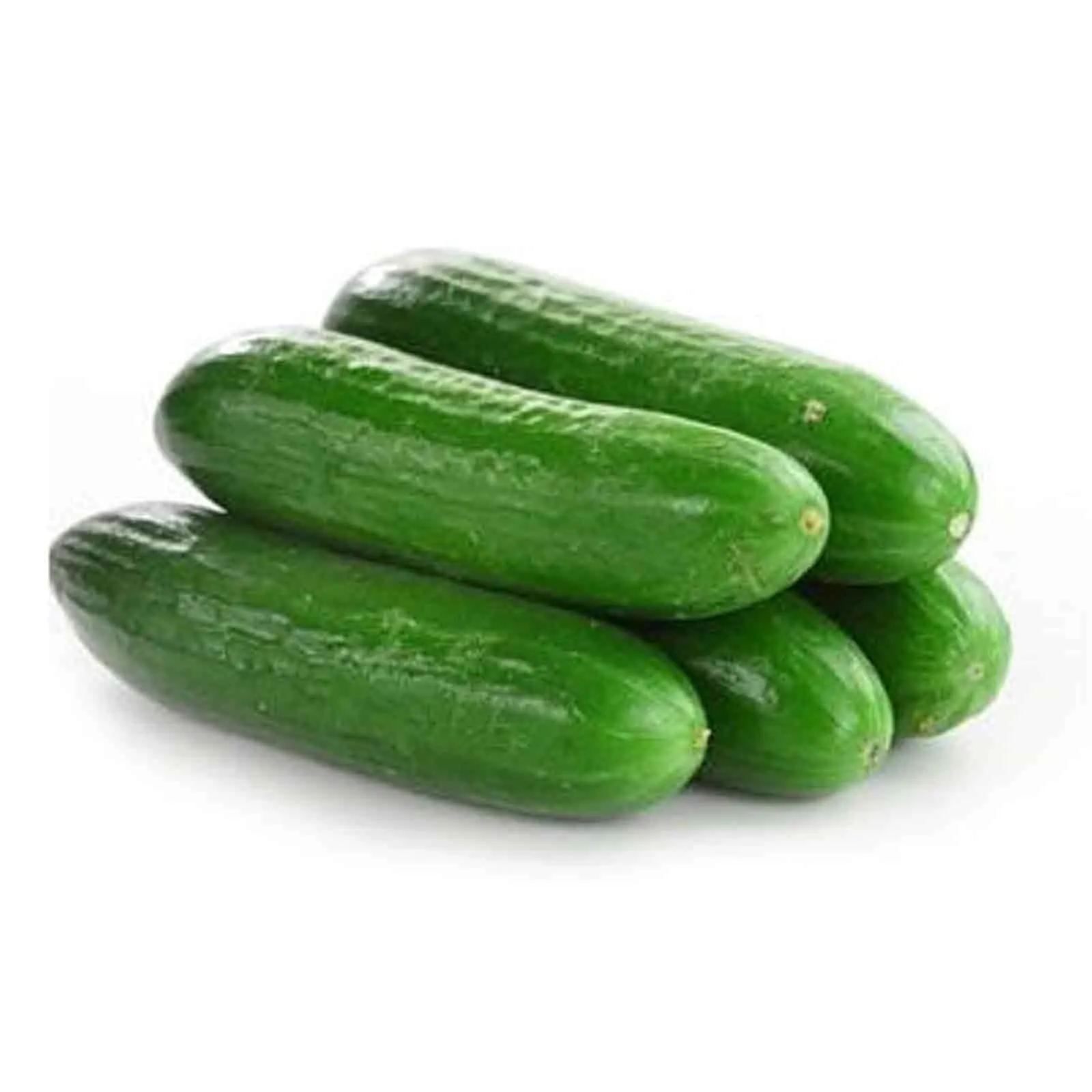  Fit Fresh Baby Cucumber Pkt  250 g - ME