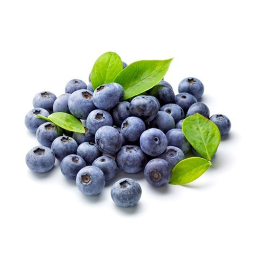  Fit Fresh Blueberry Pkt 170 g - Holland