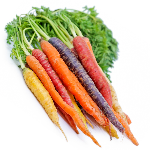 BABY CARROT RAINBOW - RSA - PKT ( 200 GM )