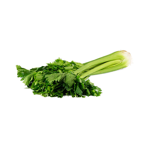  Fit Fresh Celery  1 Kg - China