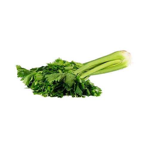 CELERY - SPAIN ( KG )