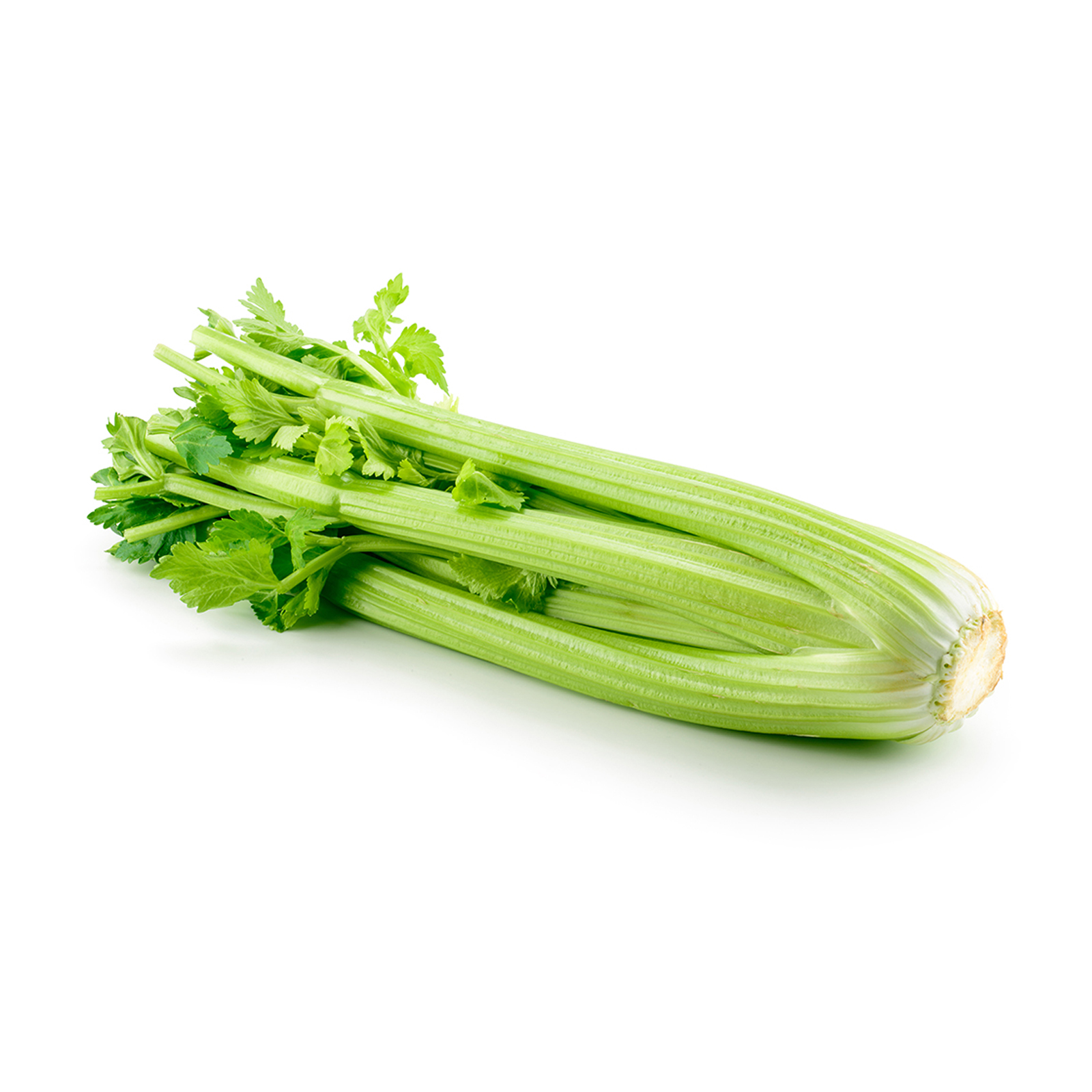 CELERY - ME ( KG )