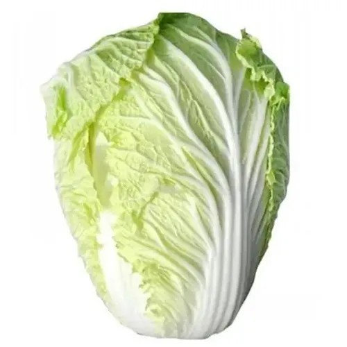 CABBAGE CHINESE - CHINA - 1PC ( 1.2 - 1.5 KG )