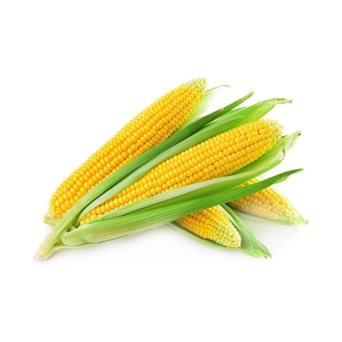  Fit Fresh Sweet Corn 500 g Pkt - ME