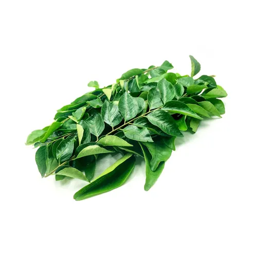 Fit Fresh Curry Leaves Kg - India
