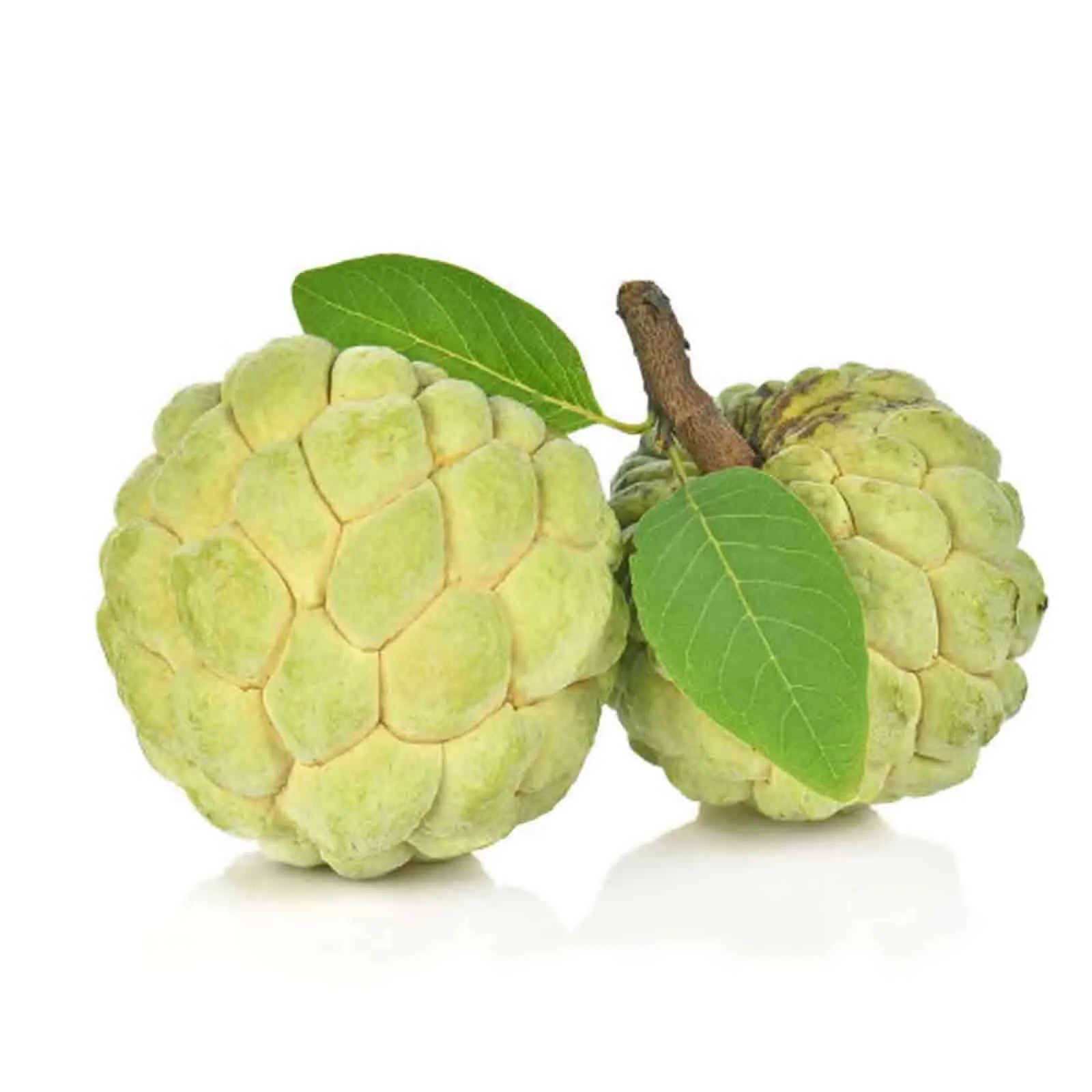 CUSTARD APPLE - INDIA ( KG )