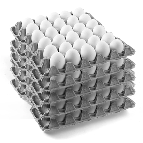  Egg White Large Ukraine 12 x 30 Pcs