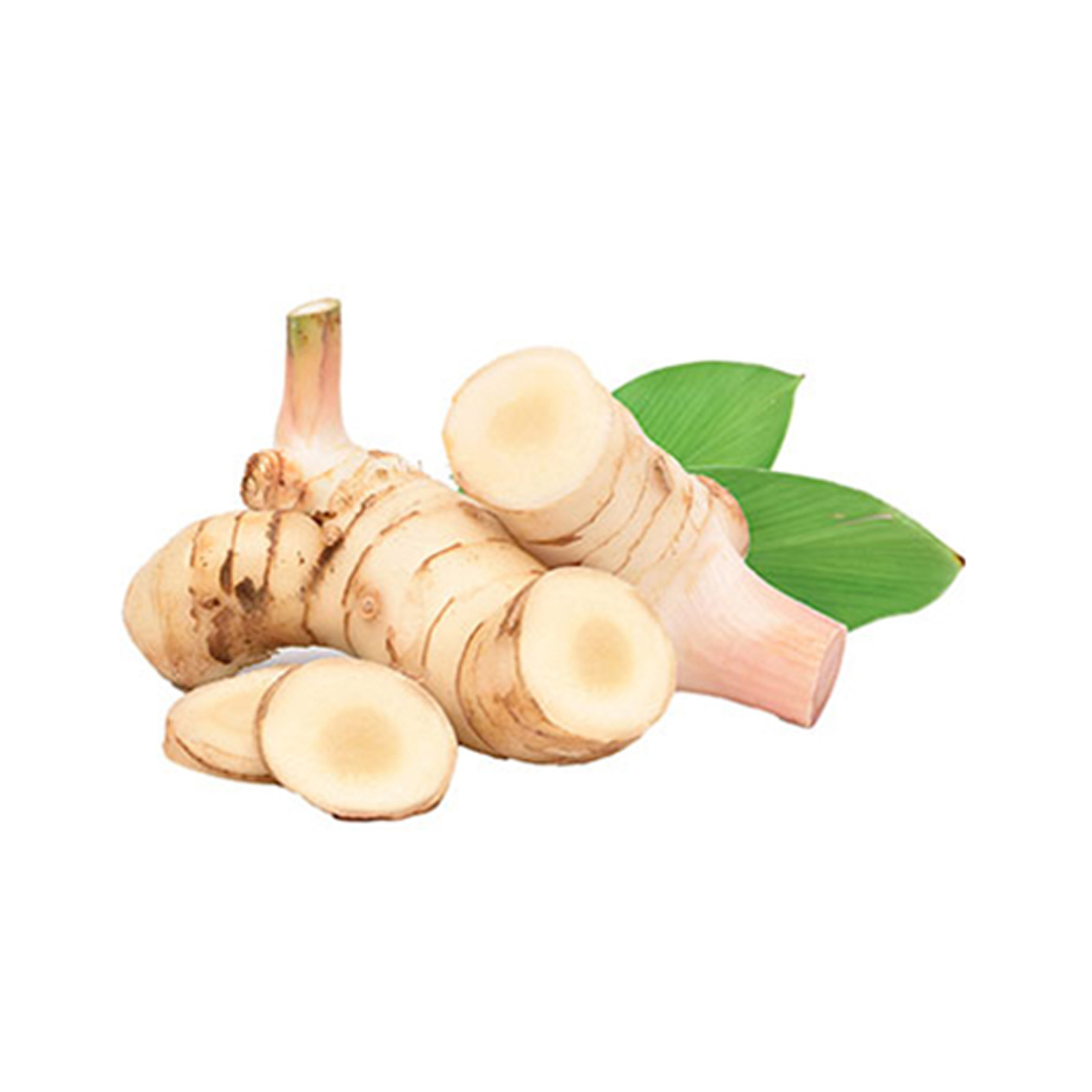 GALANGAL - THAILAND - PKT ( 500 GM )