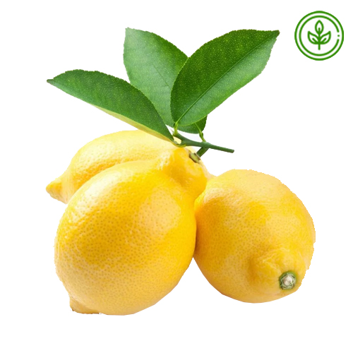  Organic Lemon  Pc 