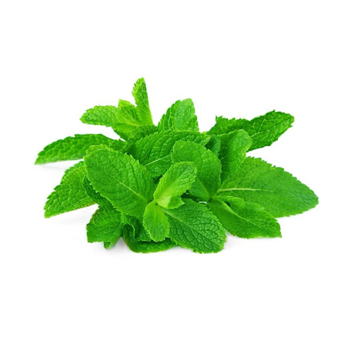MINT LEAVES - ME - BUNCH ( 100 GM )