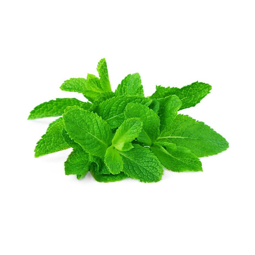  Fit Fresh Mint Leaves Kg